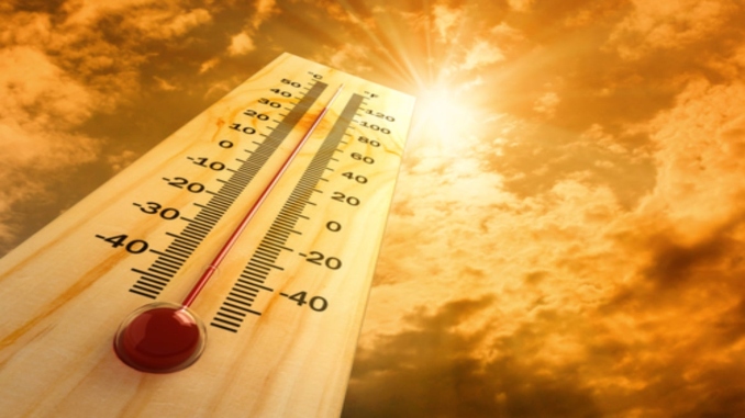 Hot Summer Day